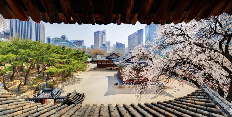 Deoksu Palace in downtown Seoul is seen from the second floor of Seogeodang Hall, which will be open to the public from March 22 to 28 through special guided tours. Courtesy of Cultural Heritage Administration