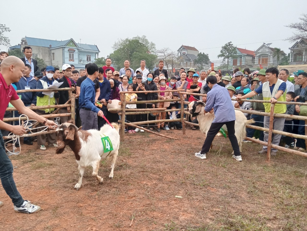 Goat Festival - A Unique Cultural Feature of Spring by the GNI in Tuyen Quang Province