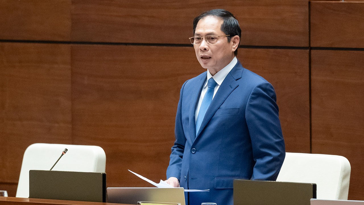 FM Bui Thanh Son field questions on foreign affairs by NA Standing Committee