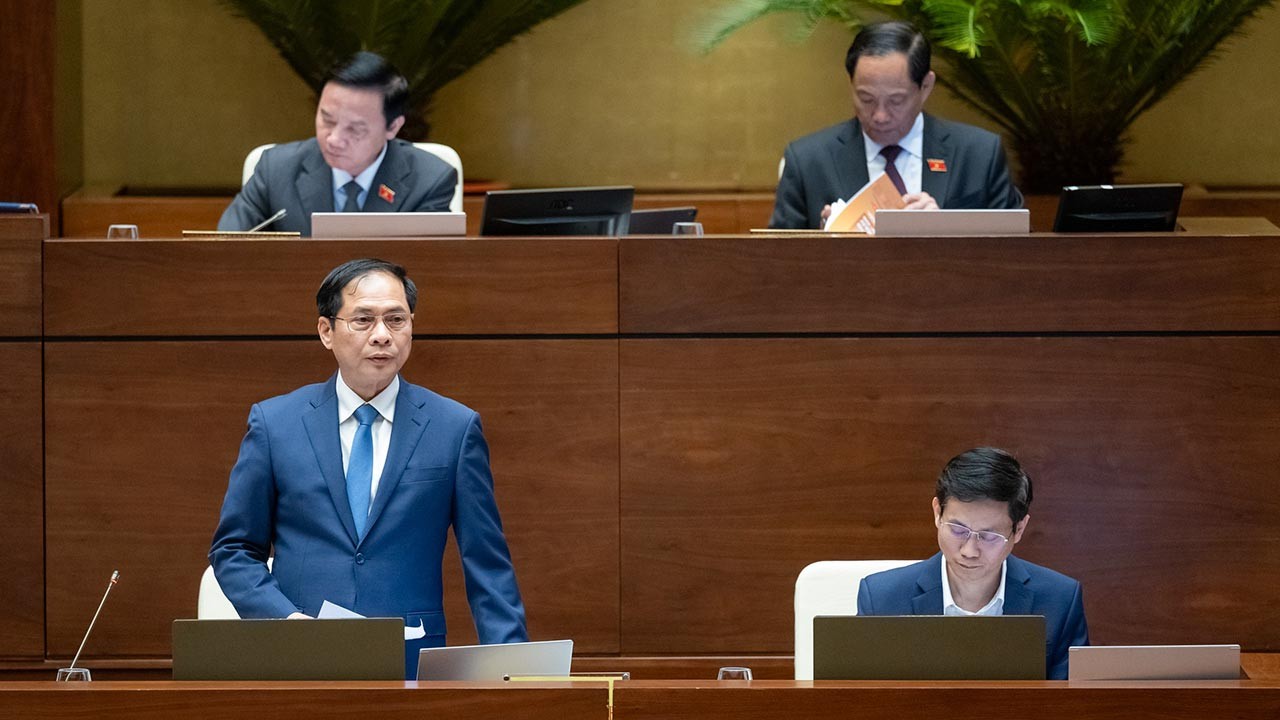 FM Bui Thanh Son fields questions on foreign affairs by NA Standing Committee
