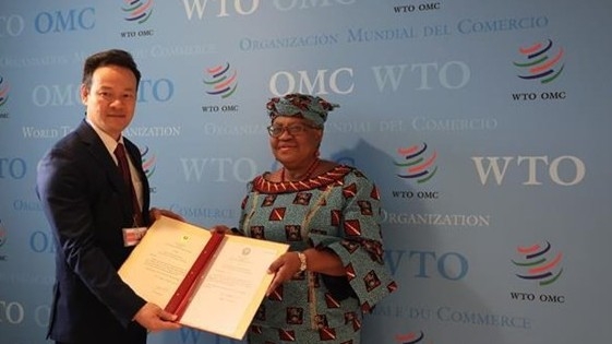 WTO acknowledges Vietnam’s contributions to multilateral trade system: Ambassador