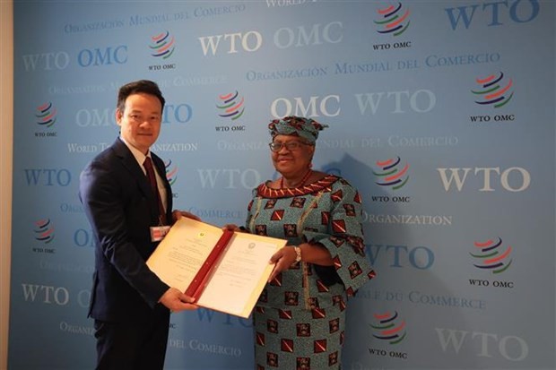 WTO acknowledges Vietnam&rsquo;s contributions to multilateral trade system: Ambassador
