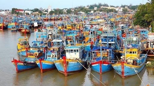 Kien Giang tries to overcome EC warnings against illegal fishing