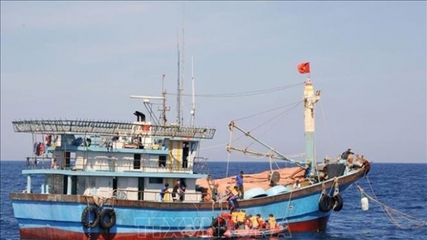 Ninh Thuan, Ca Mau undertake measures to combat IUU fishing