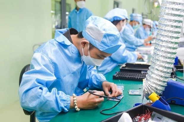 About 35 local higher education institutions have the capacity to join the semiconductor training trend, with more than 10 currently offering semiconductor training programmes. (Photo: VNA)
