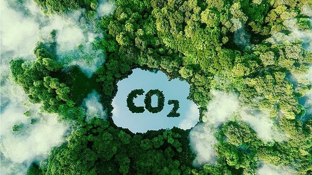 Việt Nam nhận được 51,5 Triệu USD cho t&iacute;n chỉ carbon từ Ng&acirc;n h&agrave;ng Thế giới 