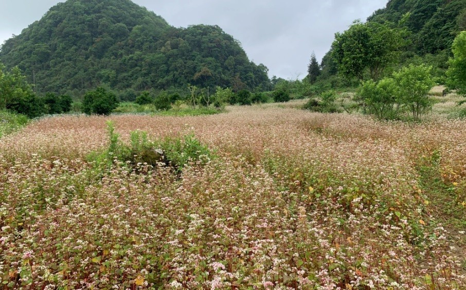 Vietnam's election to UNHRC highlights its achievements in ensuring human rights: Scholar Vietnam's election to UNHRC highlights its achievements in ensuring human rights: Scholar