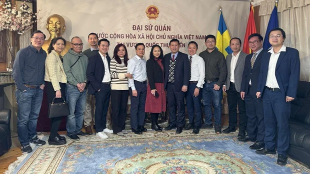 Vietnamese scientists in Sweden wish to further contribute to homeland | Sci-Tech | Vietnam+ (VietnamPlus)