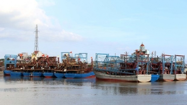 Nam Dinh province resolved to combat IUU fishing