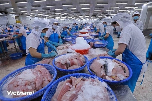 Fisheries sector’s 65th traditional day celebrated in Hanoi