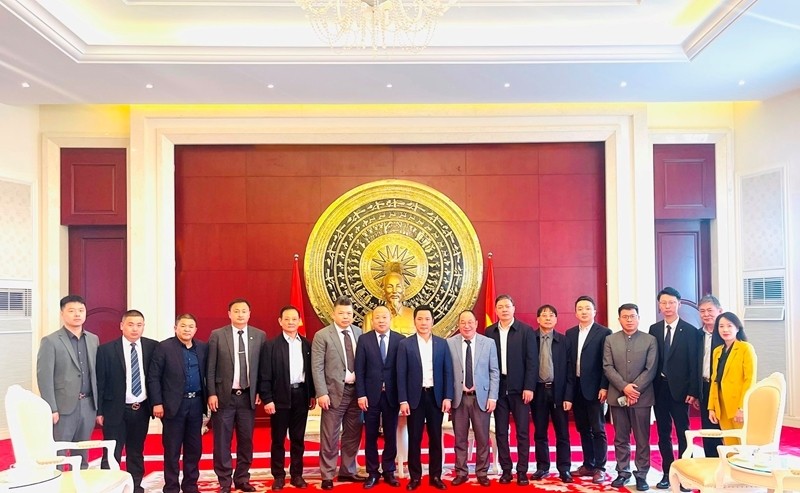 Boosting the involvement of overseas Vietnamese entrepreneurs in economic diplomacy