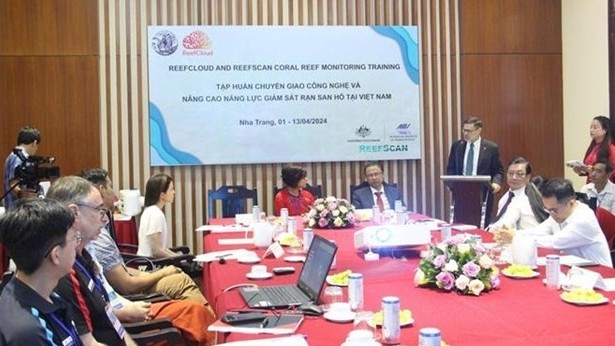 Australia helps Vietnam monitor, protect coral reefs: Institute of Oceanography