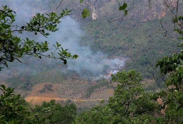 PM Pham Minh Chinh urges strengthening forest fire prevention, control