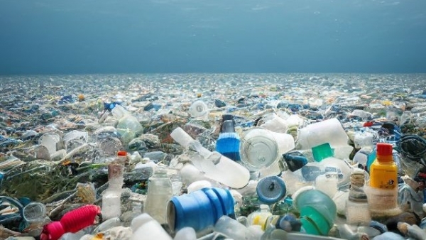 Ước tính có khoảng 11 triệu tấn rác thải nhựa đang ở dưới đáy biển
