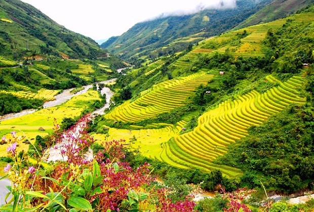 Dien Bien: A &lsquo;gold mine&rsquo; to strive for smokeless industry development
