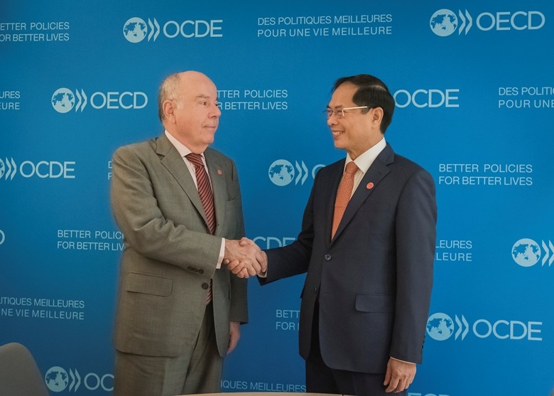 Vietnam is a very resilient country, Brazil and Vietnam have potentials in vital areas: Brazilian Ambassador