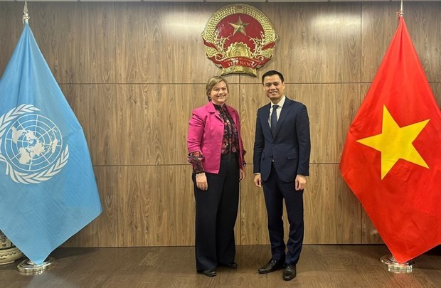 UNICEF appreciates Vietnam’s implementation of child care, protection policies: Ambassador