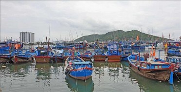 Binh Thuan registers only seaworthy vessels among its offshore fleet