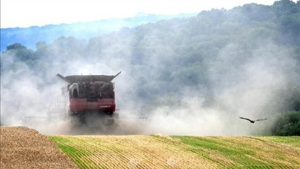 Hungary nói EU không bảo vệ nông dân châu Âu, sẽ 'làm căng' thêm lần nữa với nông sản Ukraine