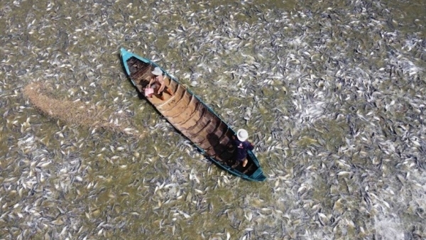 65 years of sustainable development of Vietnam's fisheries industry