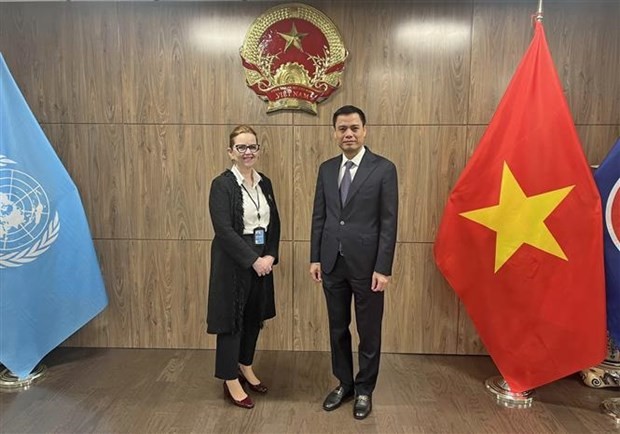 Vietnam supports UN’s humanitarian aid for Palestinians: Diplomat