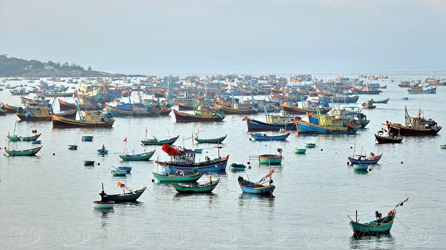 Mui Ne aims to become a global hub for water sports and luxury resort tourism