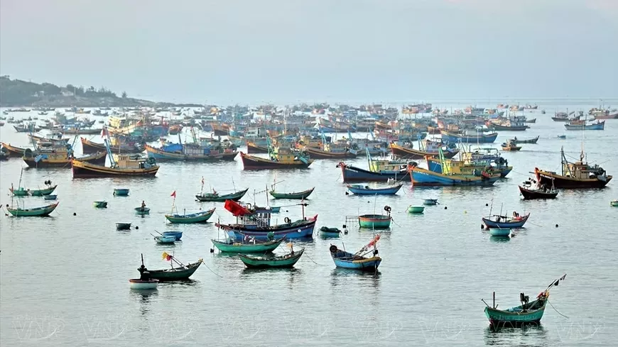 Mui Ne aims to become a global hub for water sports and luxury resort tourism