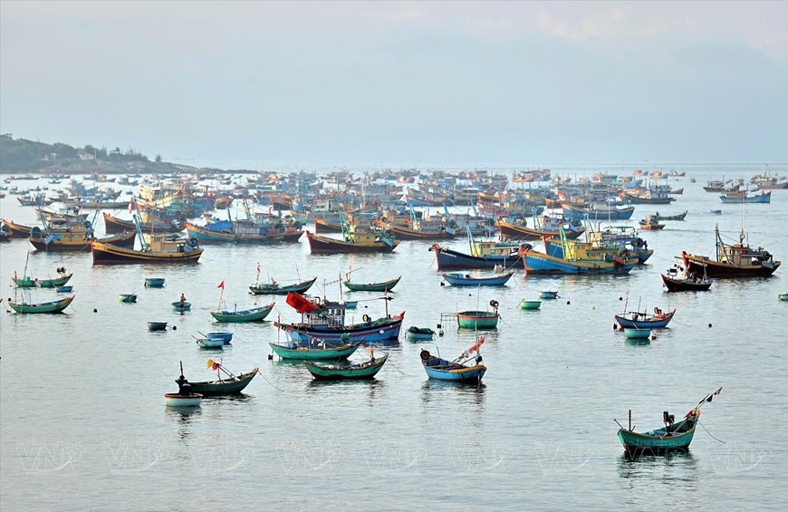 The beauty of a fishing village in Mui Ne. (Photo: VNP/VNA)