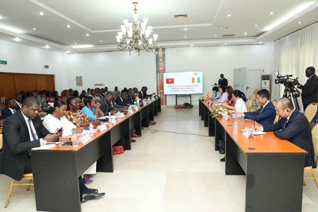 Vietnam treasures multifaceted cooperation with C&ocirc;te d'Ivoire: Deputy FM