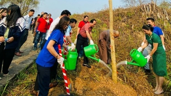 Up to 1,000 ban flowers planted at Dien Bien Phu battlefield relic sites