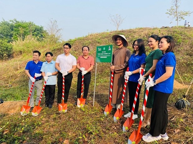 Up to 1,000 ban flowers planted at Dien Bien Phu battlefield relic sites | Environment | Vietnam+ (VietnamPlus)