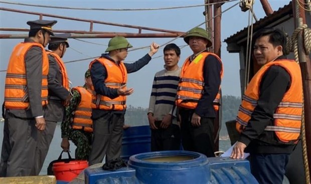 Government’s action programme cracks down on illegal fishing | Business | Vietnam+ (VietnamPlus)