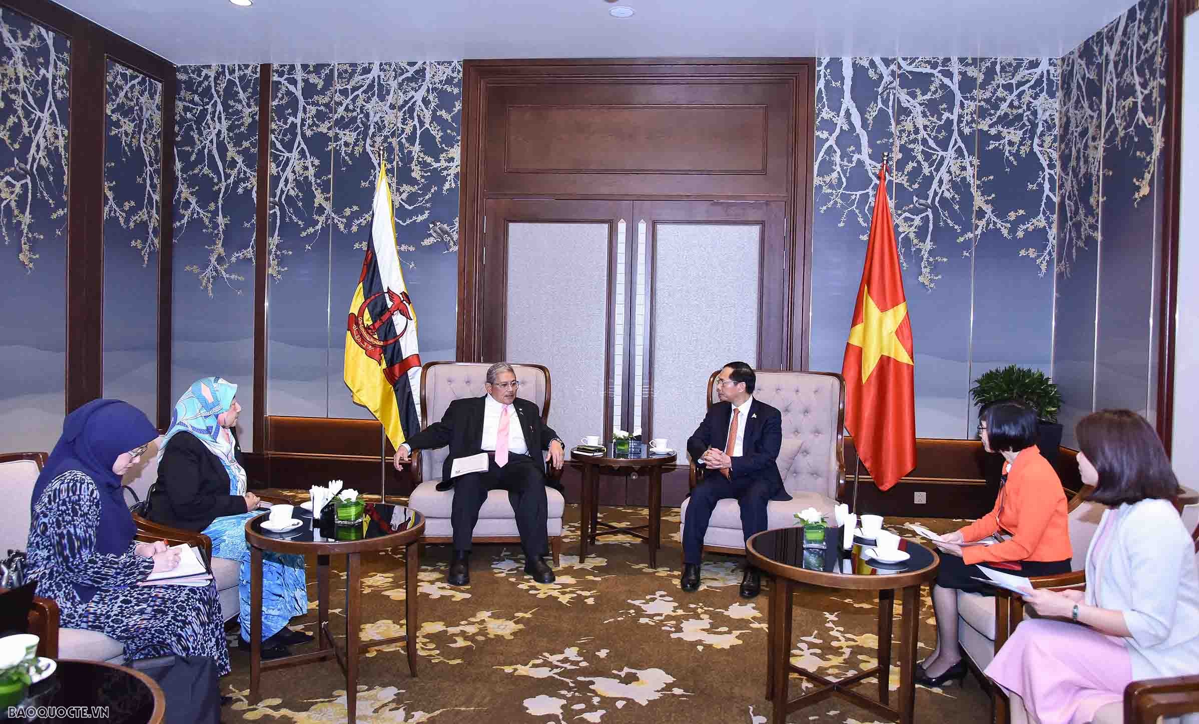 Vietnam, Brunei  agree to deepen bilateral cooperation: Foreign Minister