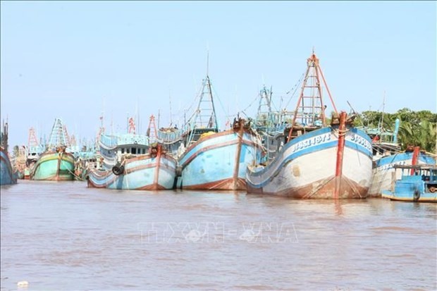 Ben Tre presses ahead with combating IUU fishing