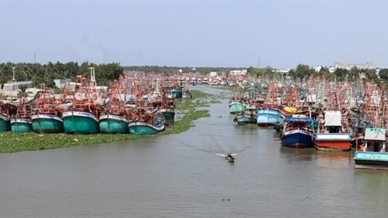 Enterprises want clearer regulations on seafood production