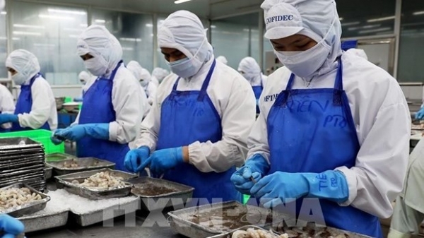 Vietnam ranks fifth among suppliers of aquatic products for Singapore