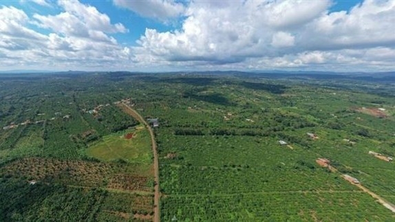 Dak Lak firm pioneers in following EUDR in coffee production