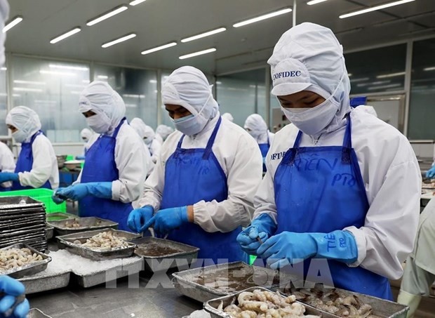 Vietnam ranks fifth among aquatic product suppliers for Singapore | Business | Vietnam+ (VietnamPlus)