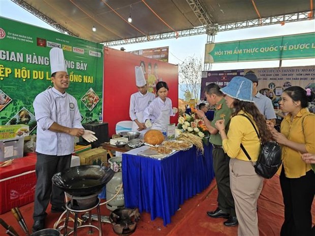Kon Tum culinary contest honours 120 dishes from local ginseng | Society | Vietnam+ (VietnamPlus)