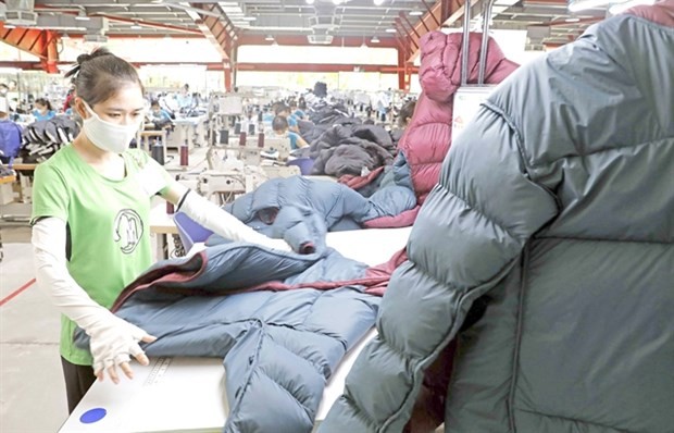 Vietnam needs drastic reforms to create firm ground for economic growth: experts | Business | Vietnam+ (VietnamPlus)