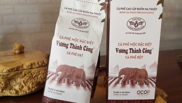 Spreading the value of Vietnamese organic coffee around the world