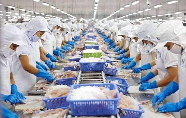 Workers process fish for export. (Illustrative photo: VNA)