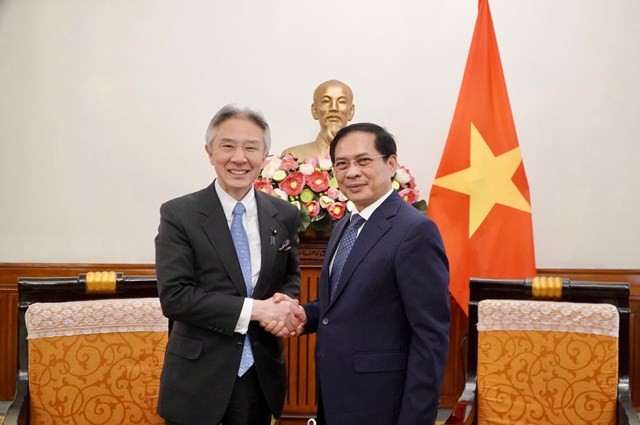 Vietnam, Japan look to step up culture, education, science, technology cooperation: FM Bui Thanh Son
