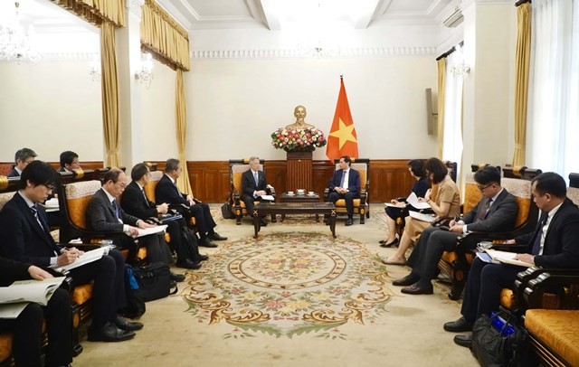 Vietnam, Japan look to step up culture, education, science, technology cooperation: FM Bui Thanh Son