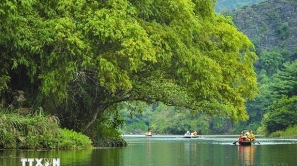 Vietnam posts 271.4 trillion VND in four-month tourism revenue