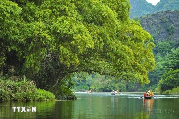 Vietnam posts 271.4 trillion VND in four-month tourism revenue | Travel | Vietnam+ (VietnamPlus)