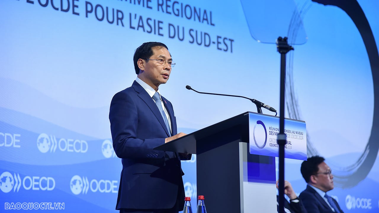 OECD: FM Bui Thanh Son addresses first plenary session of Ministerial ...