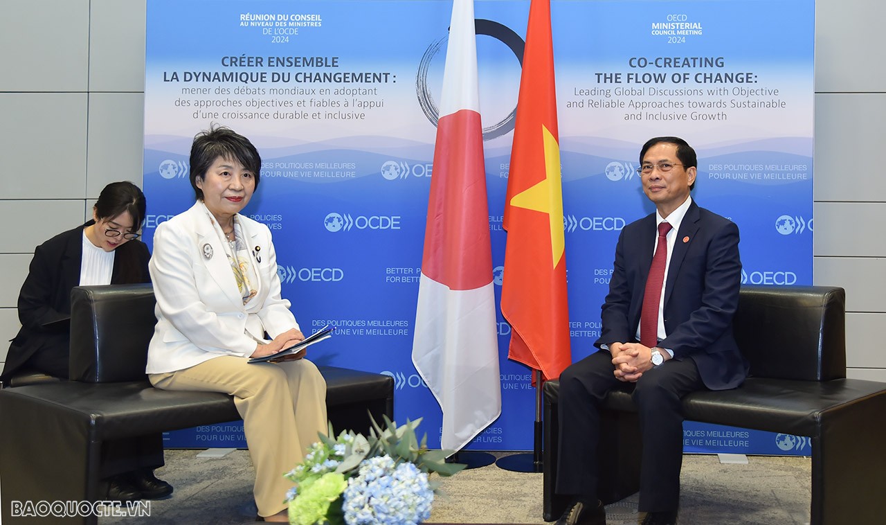 OECD: FM Bui Thanh Son held meetings with partners to enhance cooperation