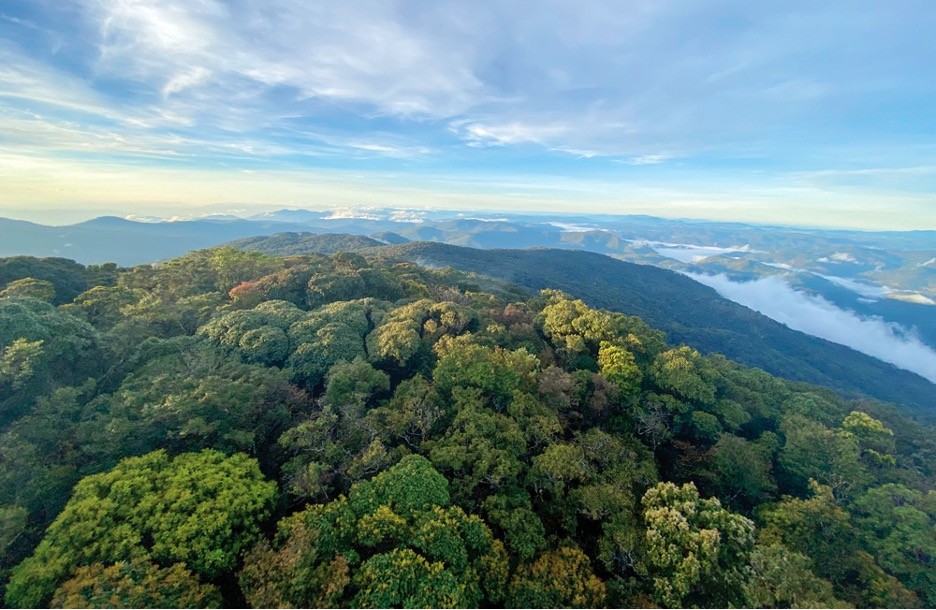 Explore the ecosystem of Bidoup - Nui Ba National Park in Lam Dong Province
