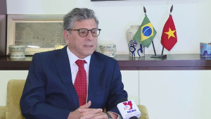 Vietnam, Brazil all-round ties on right track: Ambassador
